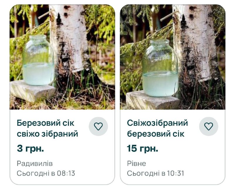 1 Скільки коштує березовий сік на Рівненщині?