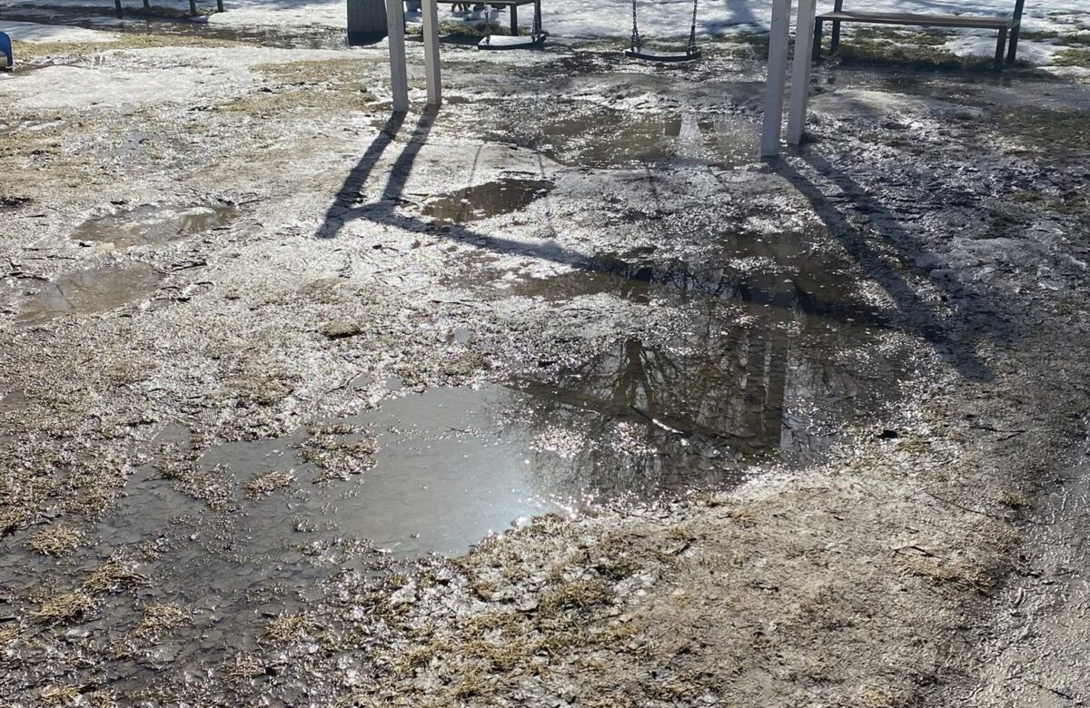 У центрі Рівного занепадає популярний парк Молоді(Лебединка) — як він зараз виглядає