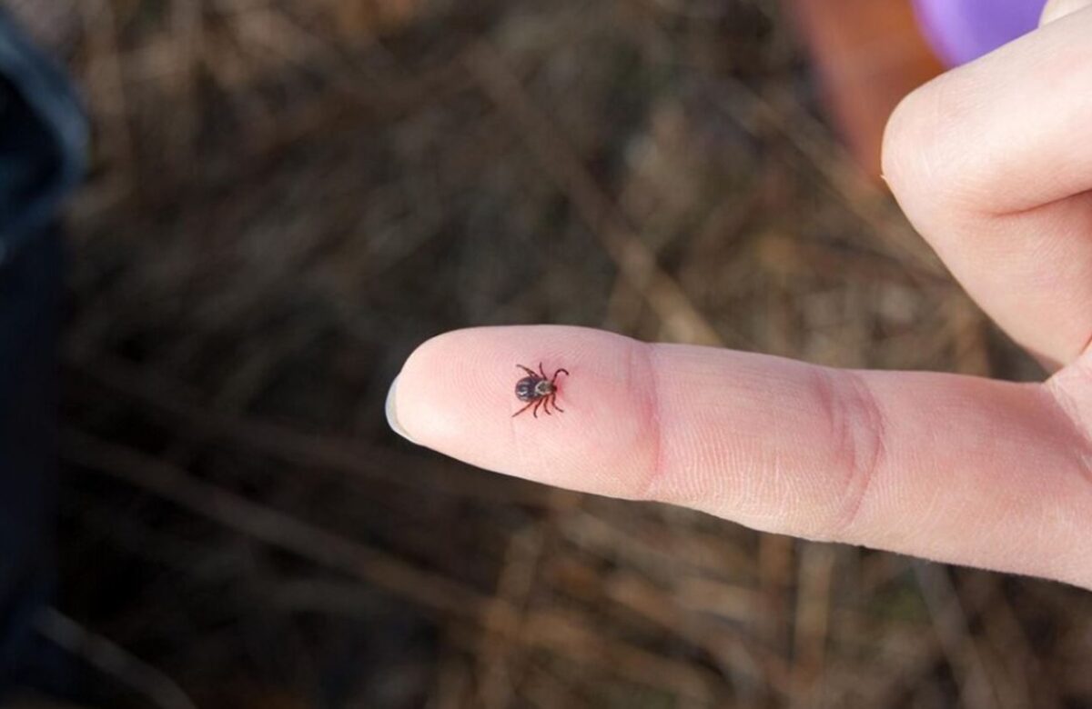 Весна принесла не лише тепло — що знайшли у парку Рівного