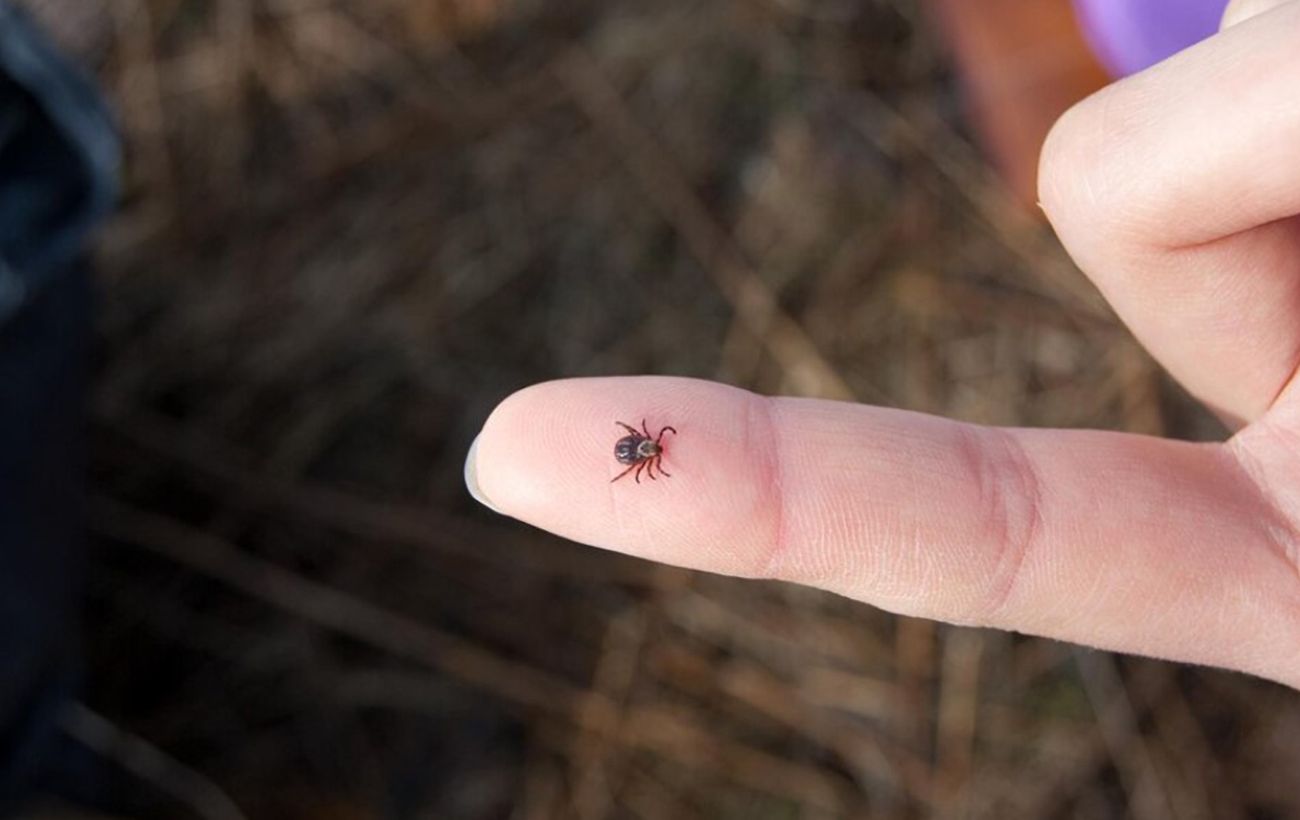 Весна принесла не лише тепло — що знайшли у парку Рівного 0000