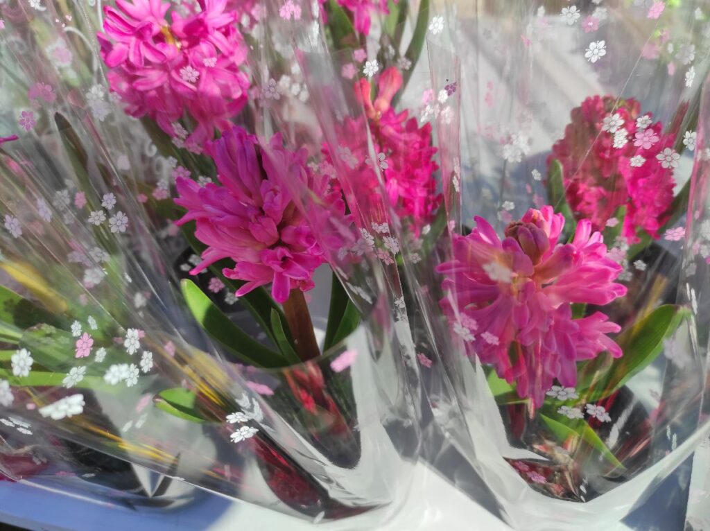 1 Скільки коштують квіти на 8 березня на Рівненщині?