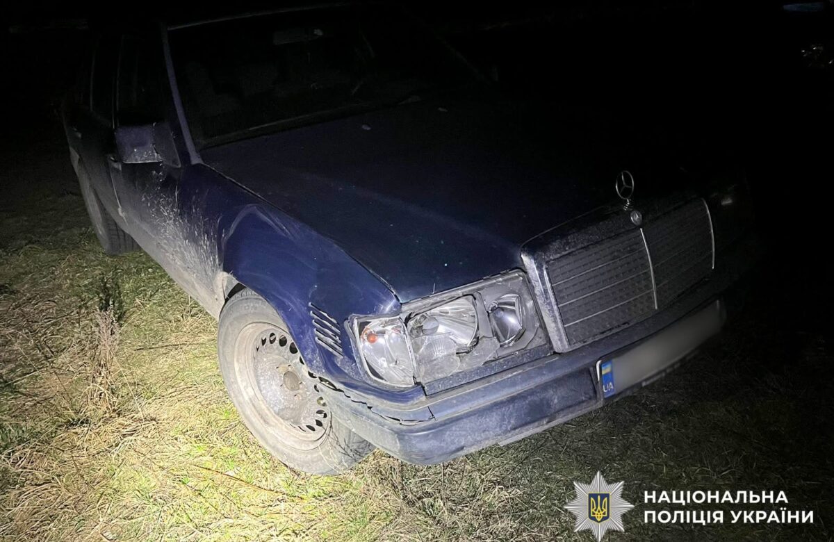 Водійка була твереза: у Зарічному розшукали кермувальницю, яка збила оленя Бориса і втекла