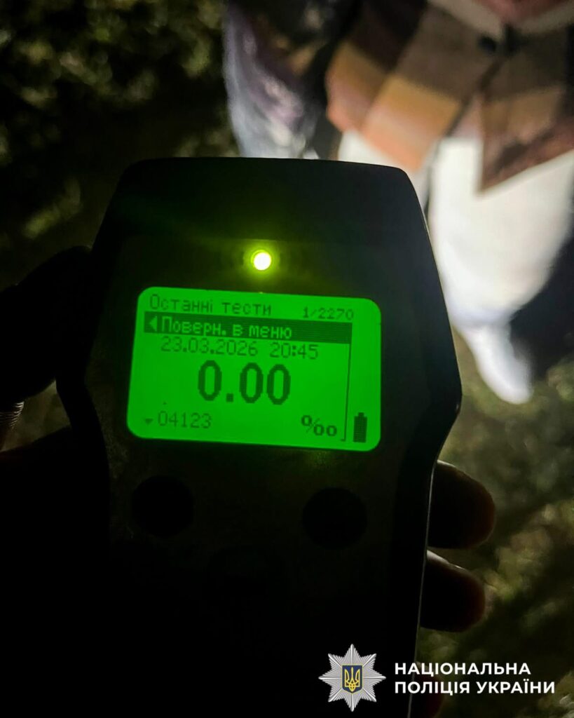 1 Водійка була твереза: у Зарічному розшукали кермувальницю, яка збила оленя Бориса і втекла