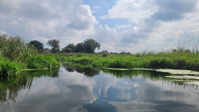 На Рівненщині хочуть створити «Рівненські плавні» у заплаві Усті