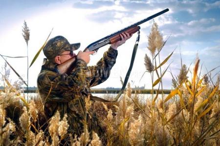 Чи можуть заборонити мисливство на Рівненщині: що про це кажуть зоозахисники