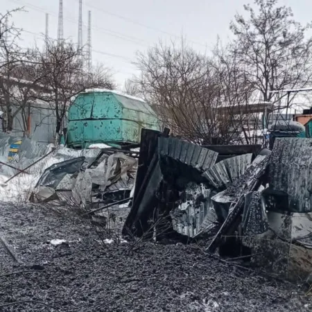 У Рівному волонтери звинуватили Алісу Мамчур у шахрайстві через гроші для притулку