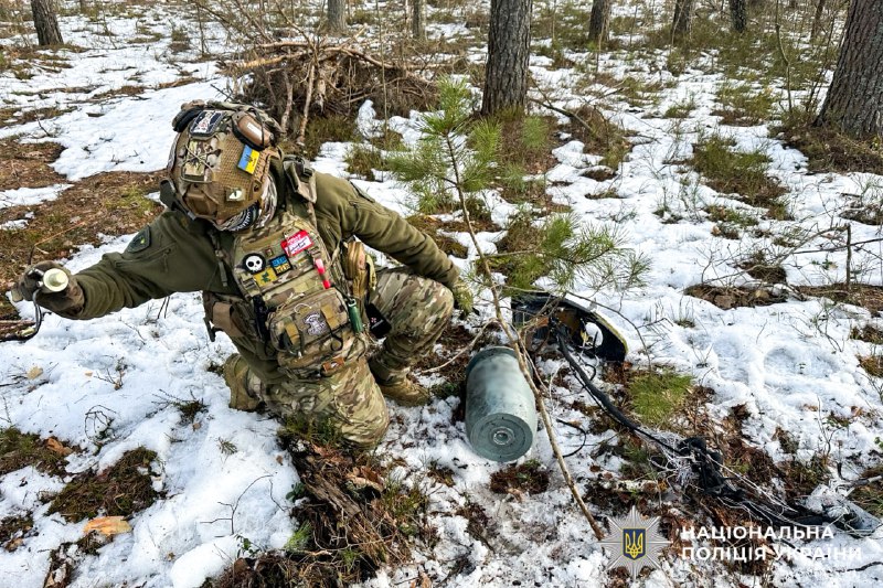 1 На Рівненщині у лісі знайшли нерозірвану бойову частину ворожого БПЛА (ФОТО)