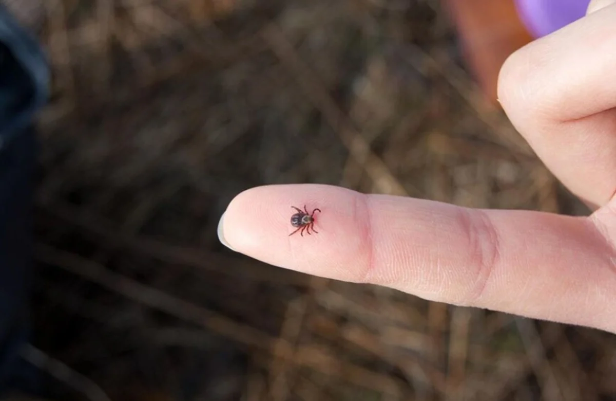 Весна принесла не лише тепло — що знайшли у парку Рівного