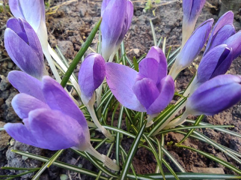 На Рівненщину йде похолодання