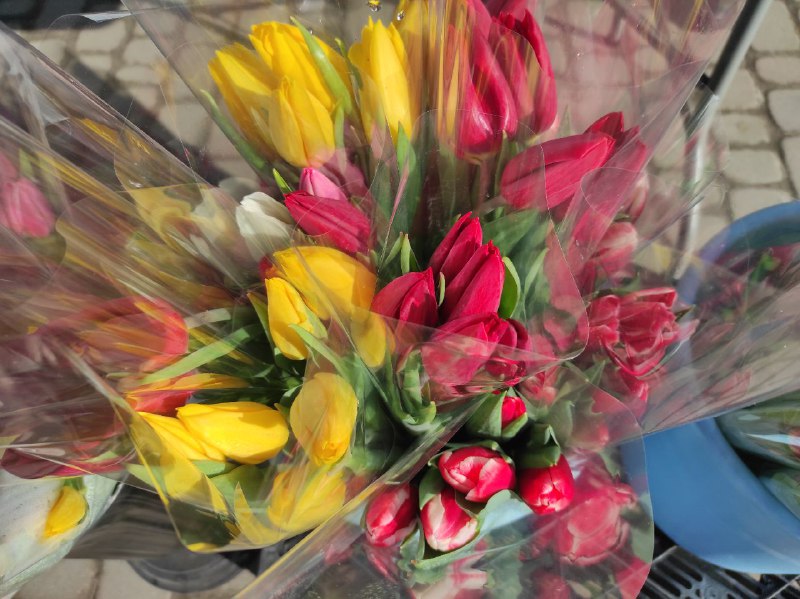 Скільки коштують квіти на 8 березня на Рівненщині?