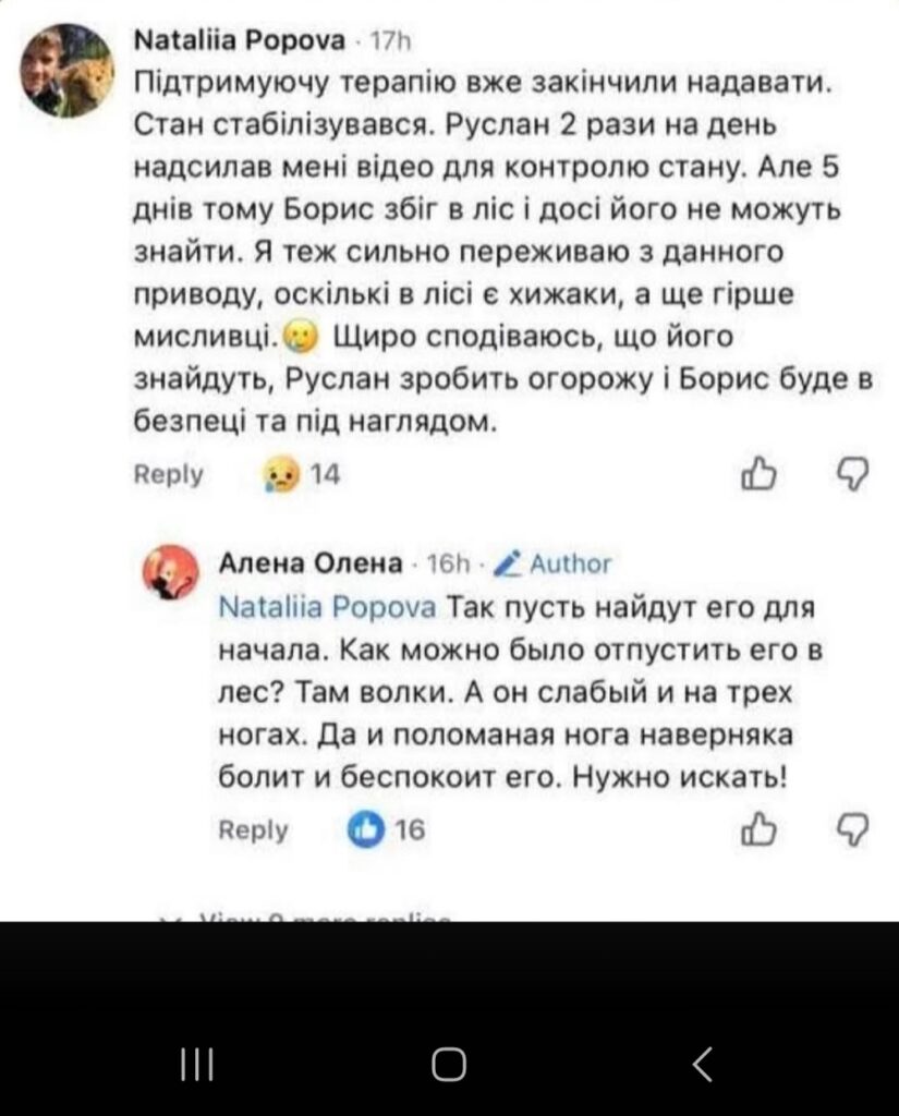 1 Зникнення оленя Бориса на Рівненщині, чому його не шукають - деталі та емоційне ВІДЕО волонтерки
