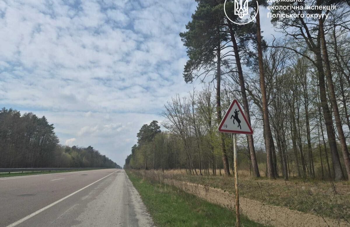Поблизу Рівного збили лося з Червоної книги, а водія розшукують