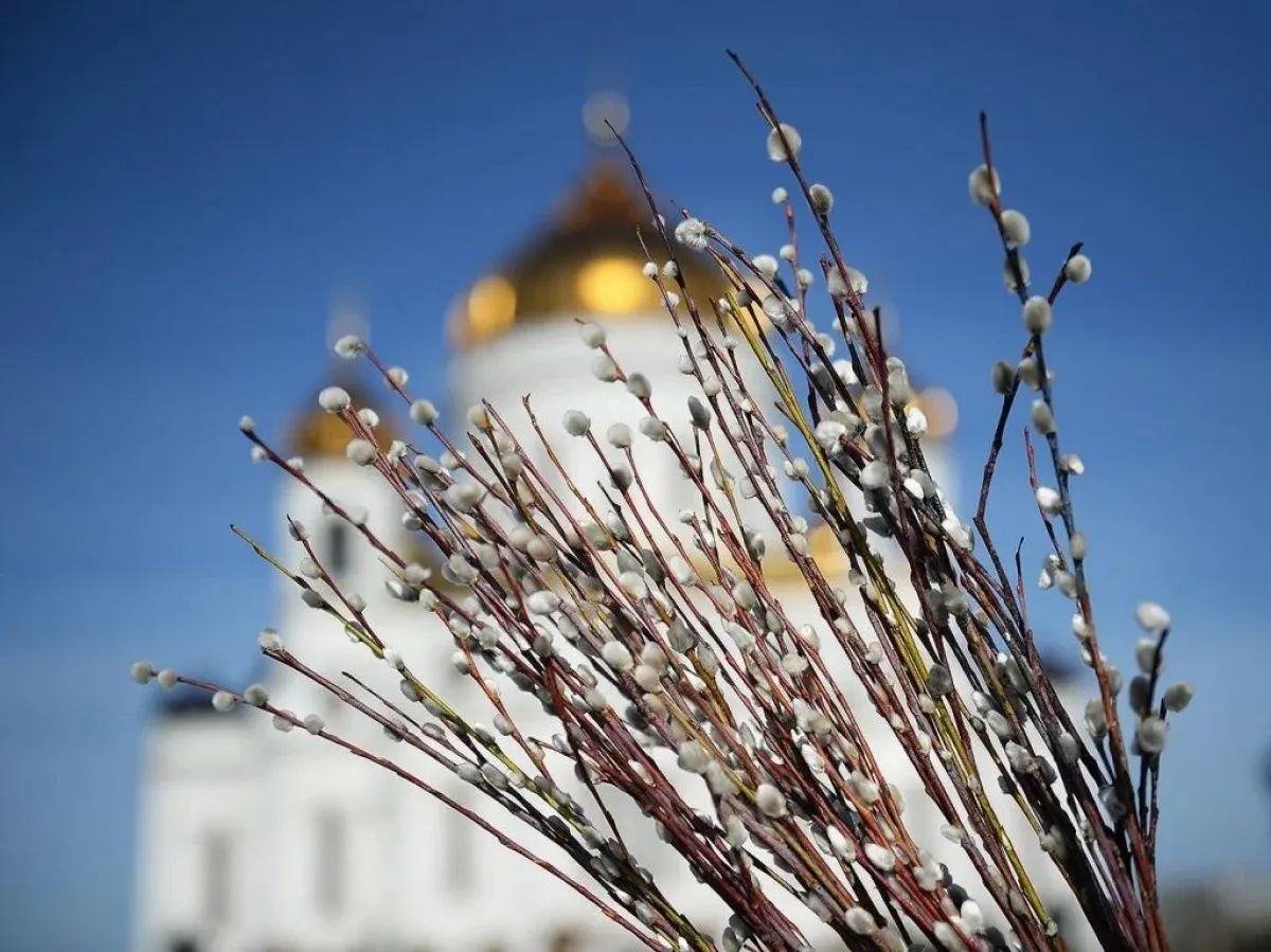 Вербна неділя 2026 у Рівному — розклад богослужінь та освячення верби 0000