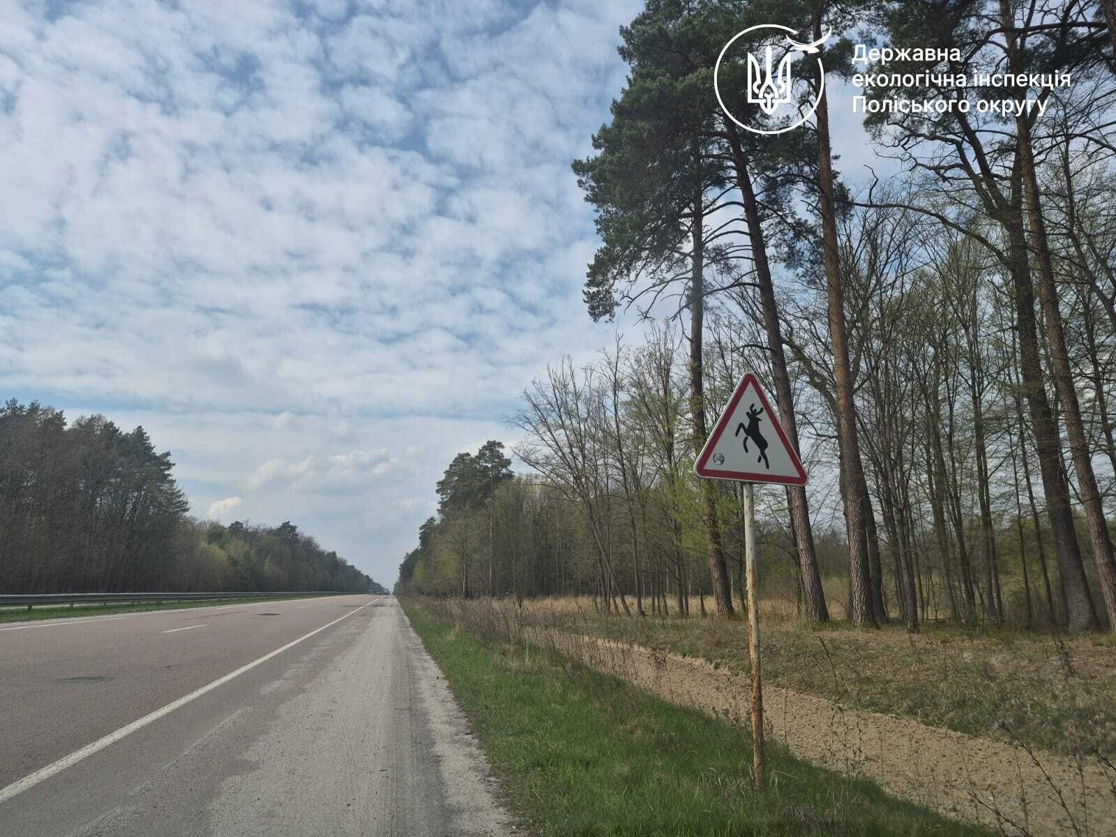 Поблизу Рівного збили лося з Червоної книги, а водія розшукують 0000