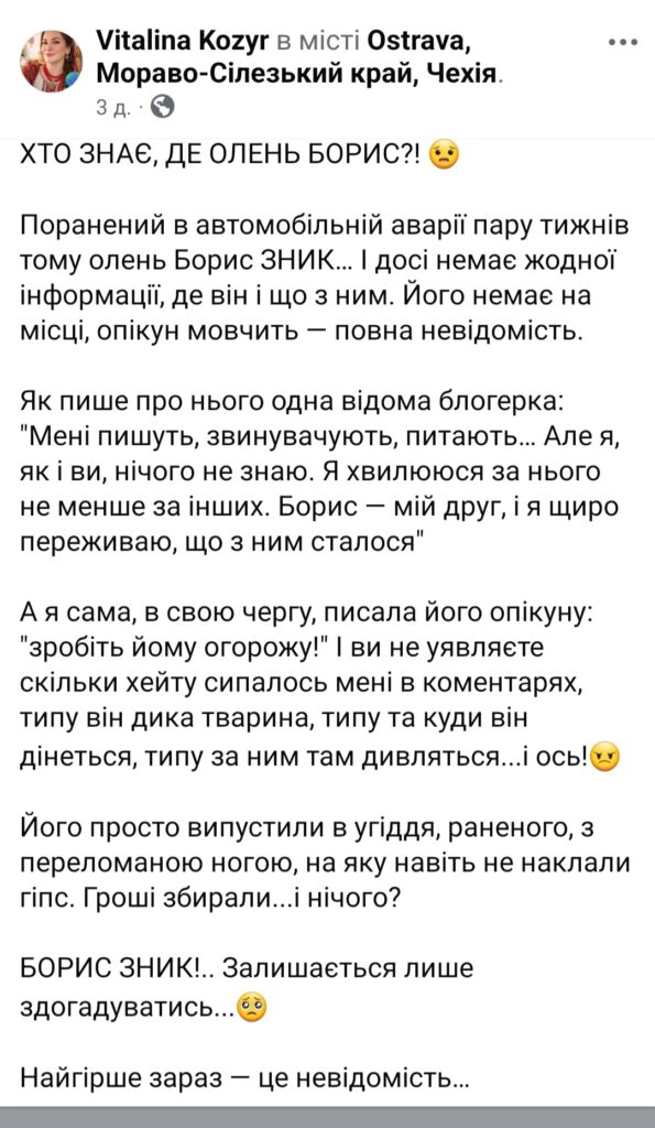 1 Зникнення оленя Бориса на Рівненщині, чому його не шукають - деталі та емоційне ВІДЕО волонтерки