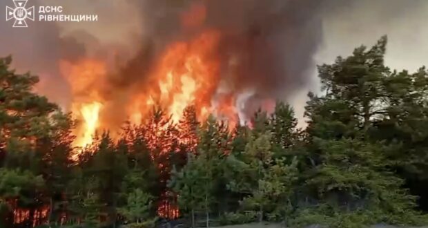 Пожежа на Сарненщині — вогонь охопив 5 гектарів лісу та загрожував селу