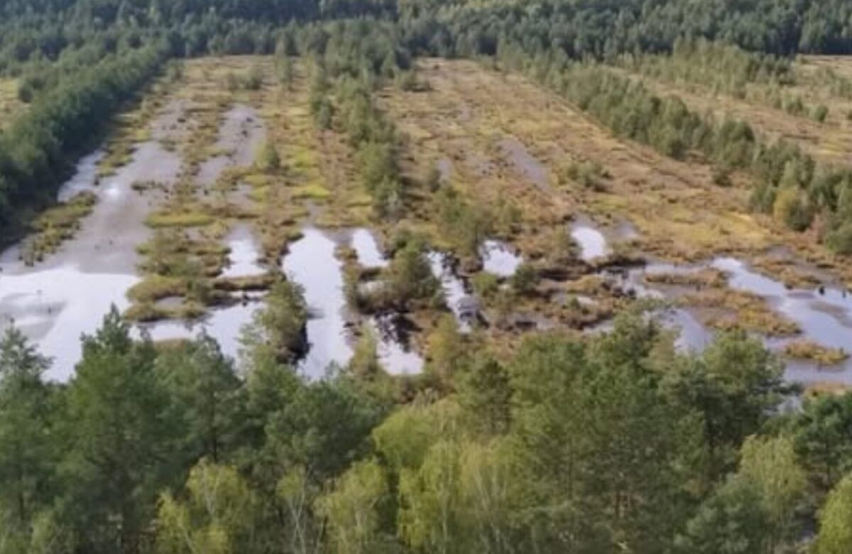 Майже 300 родовищ — на Рівненщині запроваджують особливі правила користування торфовищами