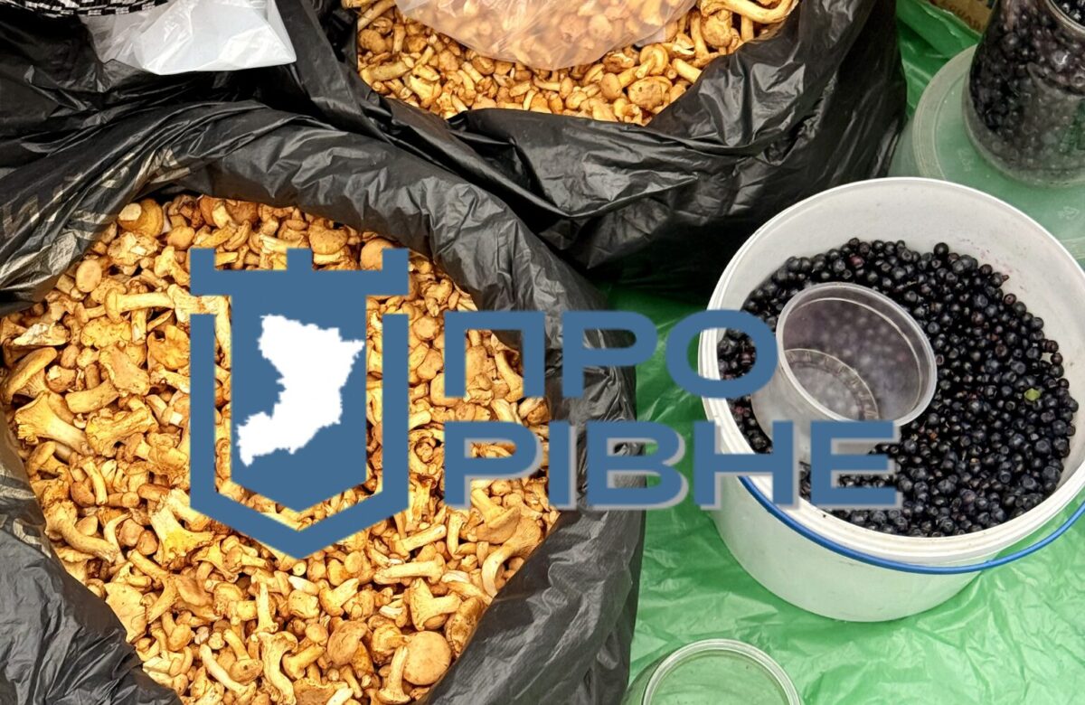 У Рівному почали продавати перші лисички: за літр просять до 300 гривень