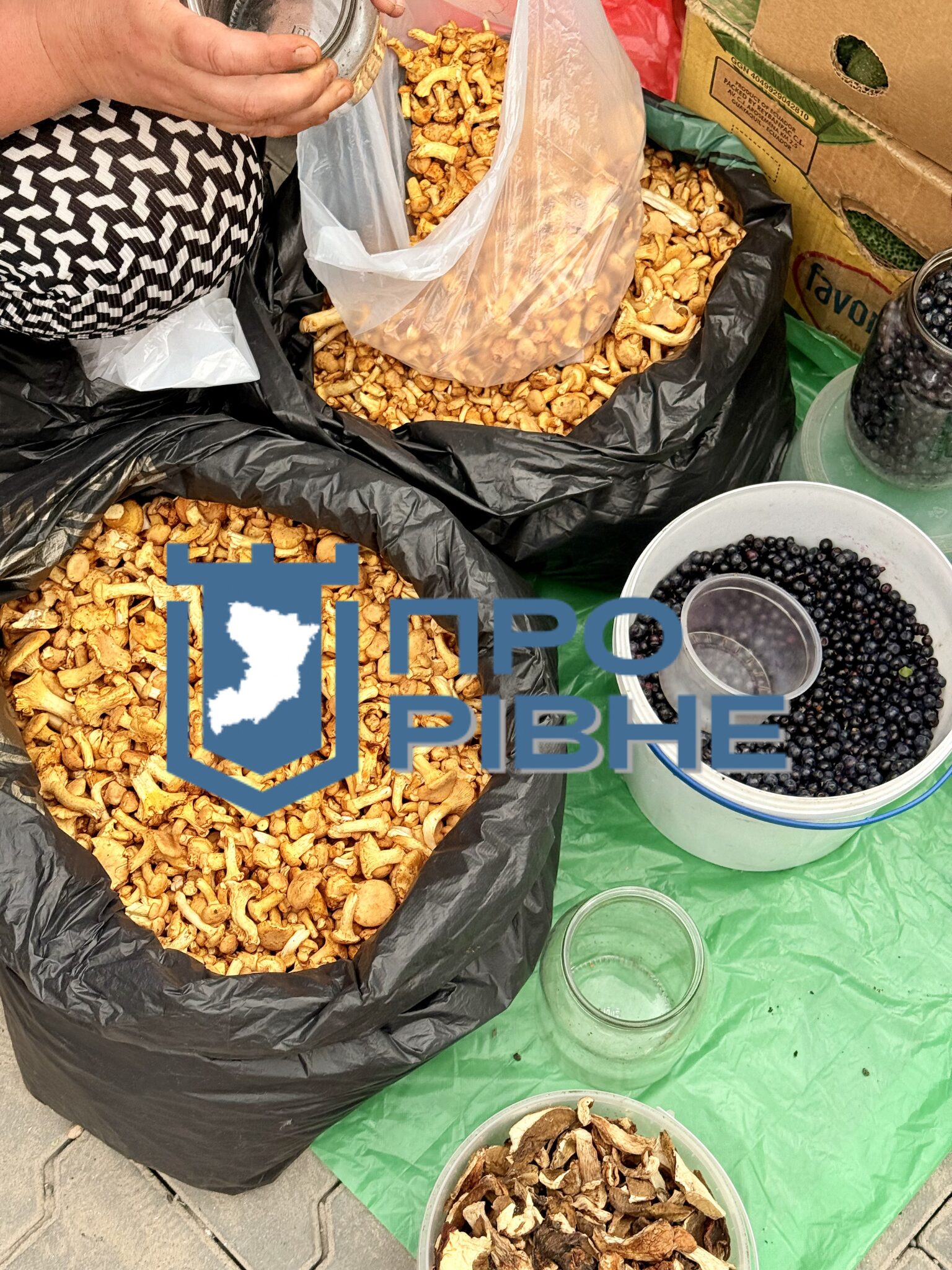 У Рівному почали продавати перші лисички: за літр просять до 300 гривень 0000