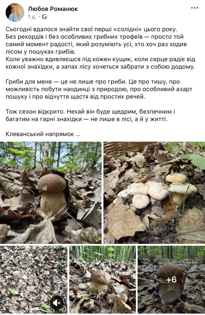 1 Рівняни показали перші білі гриби, але в коментарях не повірили