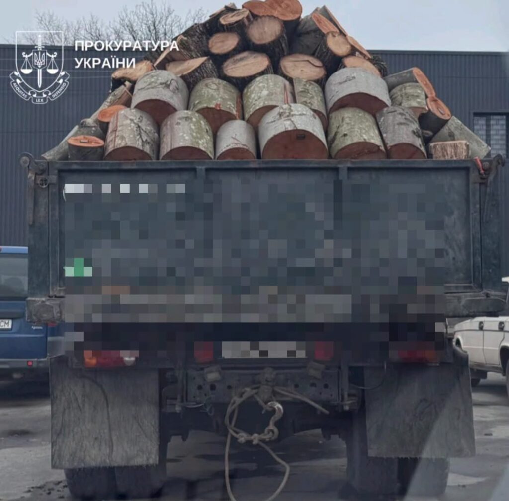 1 Генпрокурор заявив про масштабні незаконні вирубки лісу — серед підозрюваних жителі Рівненщини