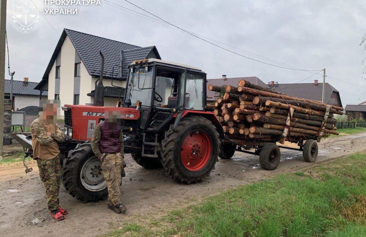 Генпрокурор заявив про масштабні незаконні вирубки лісу — серед підозрюваних жителі Рівненщини