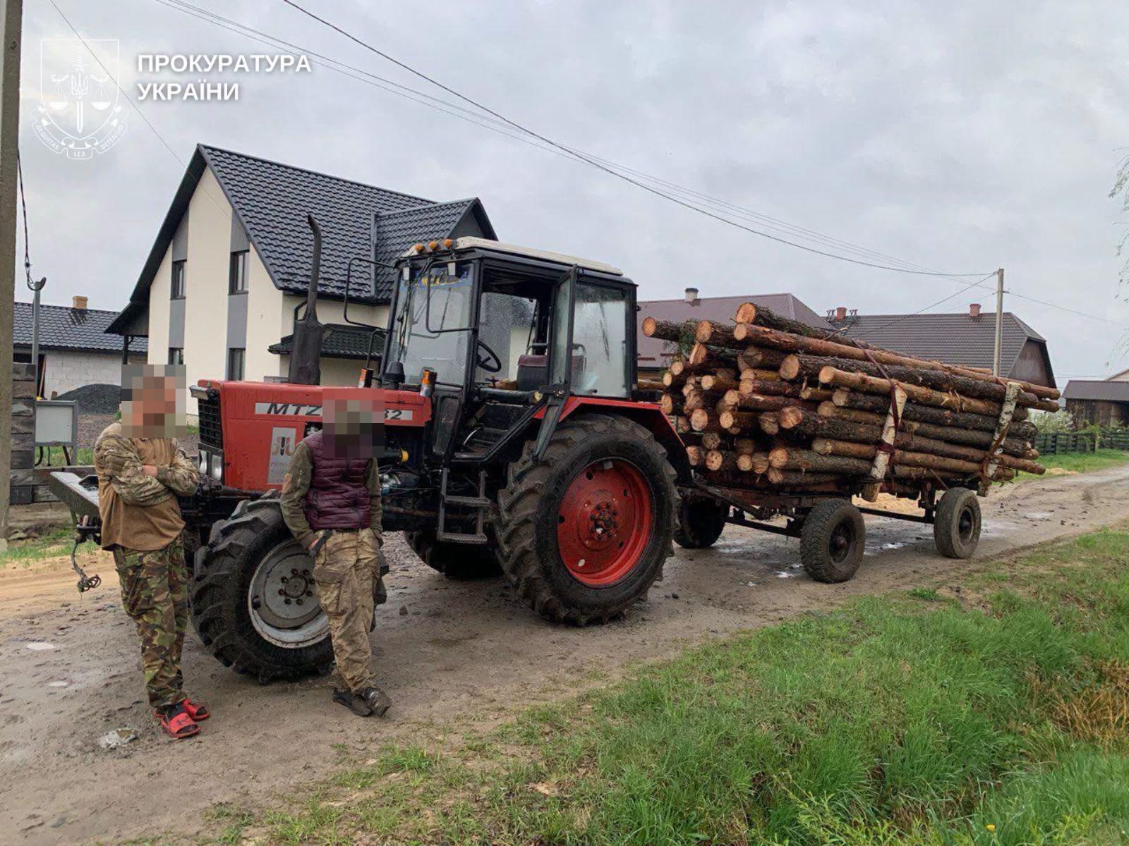 Генпрокурор заявив про масштабні незаконні вирубки лісу — серед підозрюваних жителі Рівненщини 0000