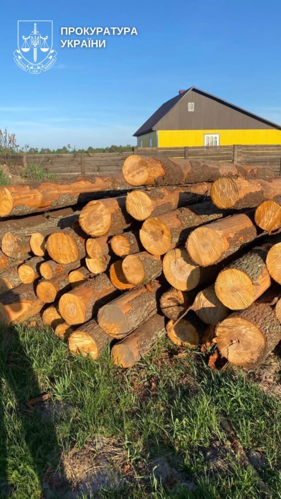 1 Генпрокурор заявив про масштабні незаконні вирубки лісу — серед підозрюваних жителі Рівненщини