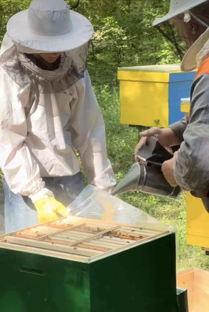 1 На Рівненщині студенти створили власний медовий бізнес: самі фарбують вулики, доглядають за бджолами та ведуть блог