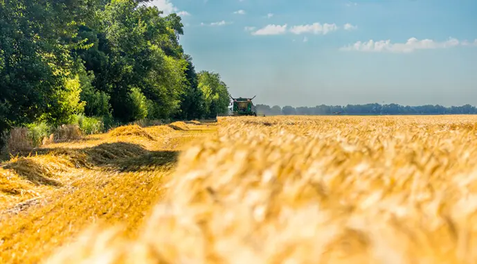 На Рівненщині не вистачає комбайнерів перед початком жнив