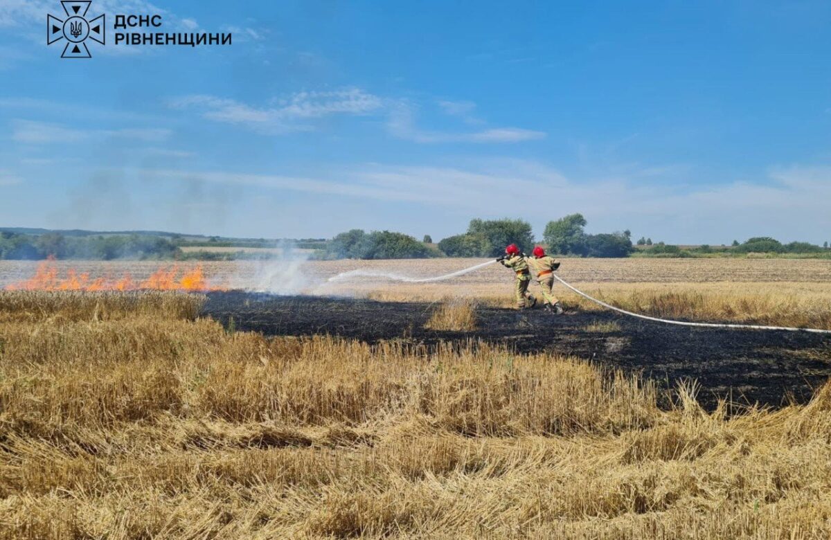 Підпал сухостою ледь не спалив врожай на Рівненщині
