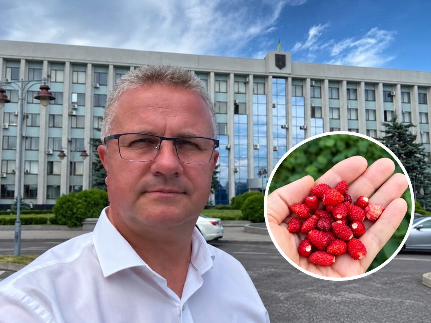 Депутат Рівненської облради показав, як у вересні збирає суниці з власної грядки 0000