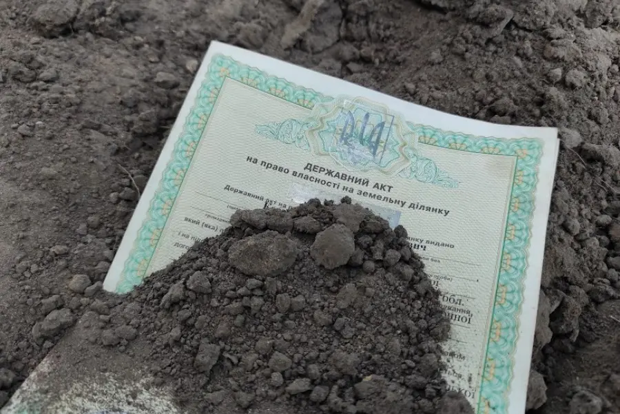 Привласнила землю за підробленим документом: на Сарненщині суд призначив жінці три роки ув’язнення