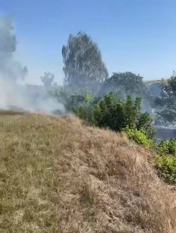 Під Рівним горить трава — вогонь підбирається до будівлі школи