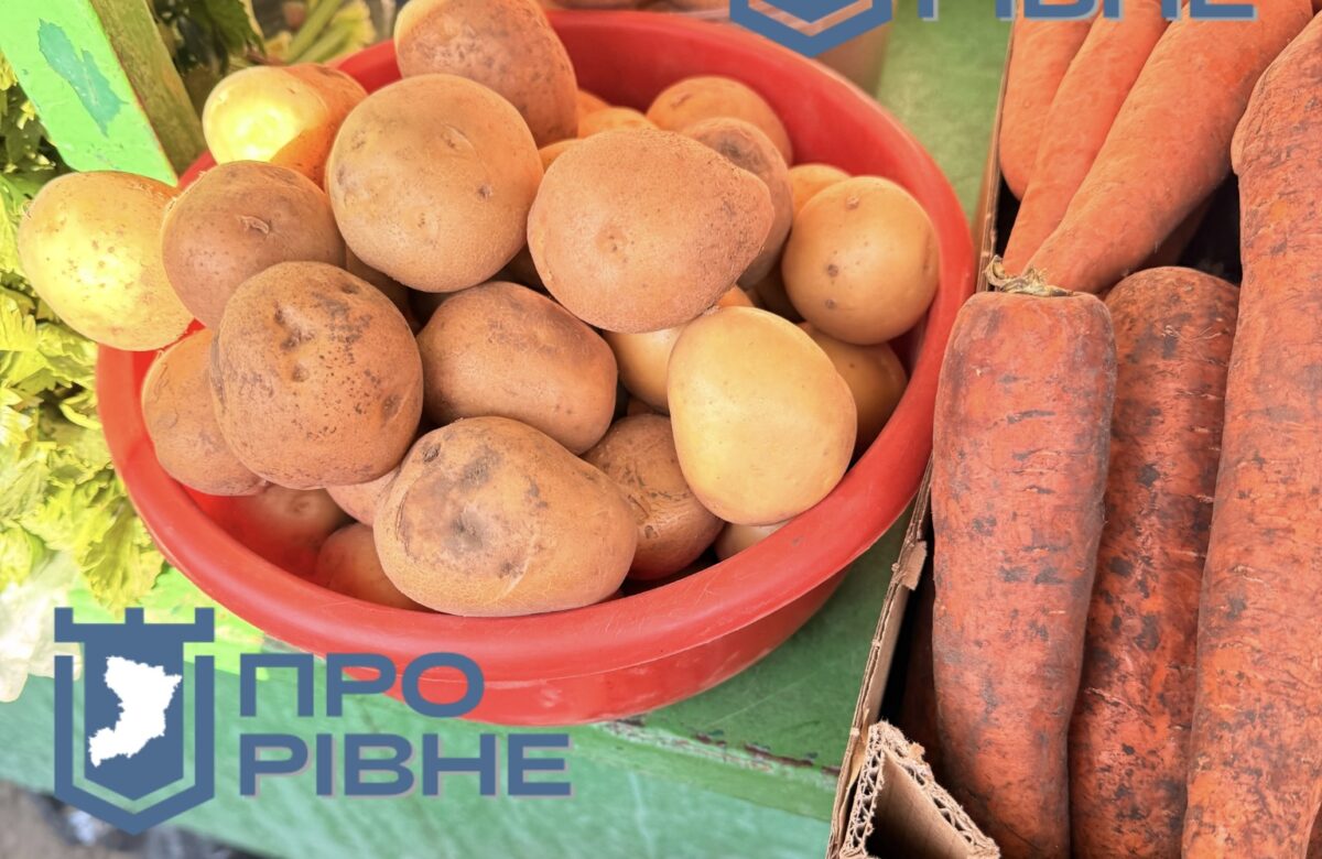 Яку картоплю купувати для зберігання на зиму, а яку для пюре та смаження